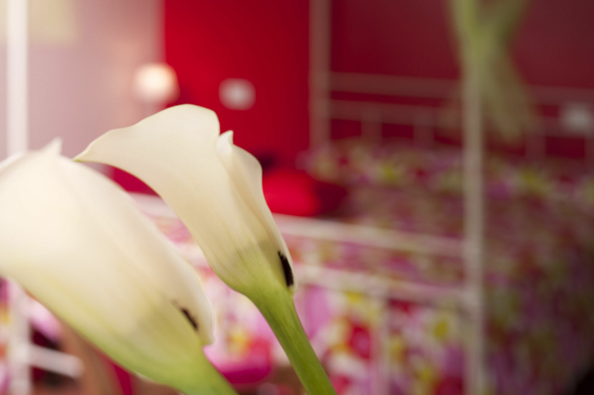 Antico Granaione Bed & Breakfast